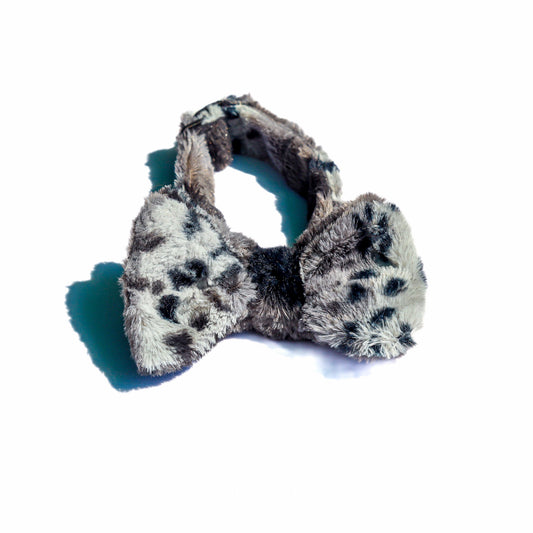 Snow Leopard